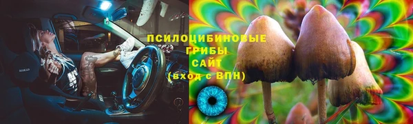 МДПВ Армянск