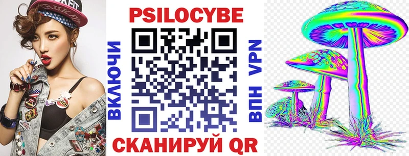 Галлюциногенные грибы Psilocybe  где купить   Мирный 